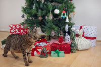 'Tis The Season Christmas Prints Kit - New Prints Are In!