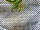 8 Pack Assorted Medium Cotton Wraps 50x50cm