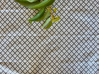 8 Pack Assorted Medium Cotton Wraps 50x50cm